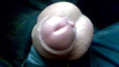 Dan indo sex mp4